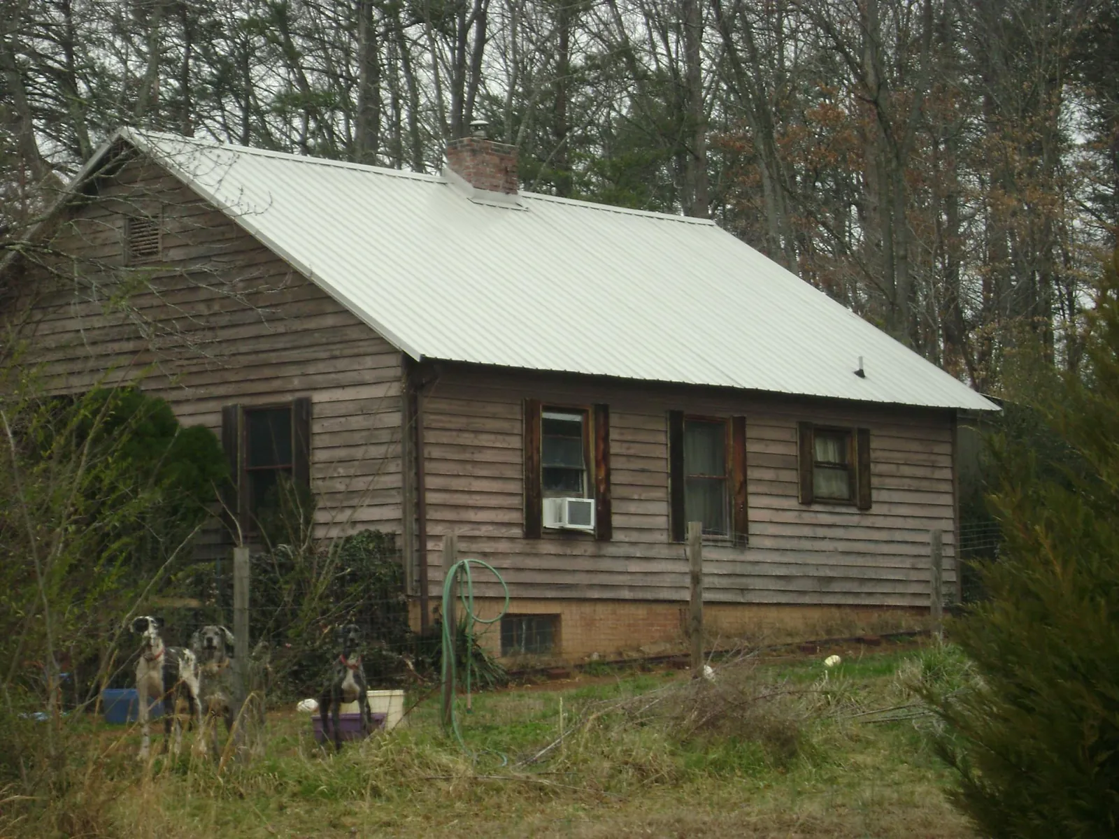 White metal roof on an old wood sided farmhouse, from a Asphalt Shingle Roof Repair job in Elmaton